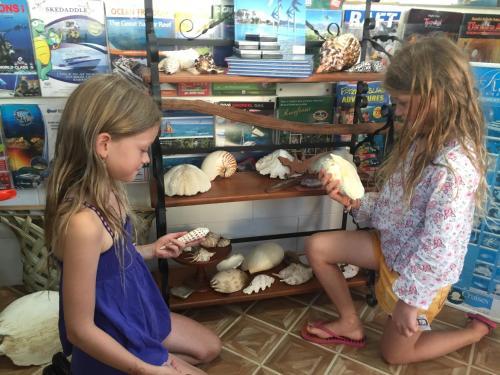 Villa Marine Holiday Apartments Cairns