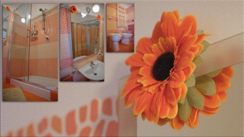 B&B Via Spalti 52