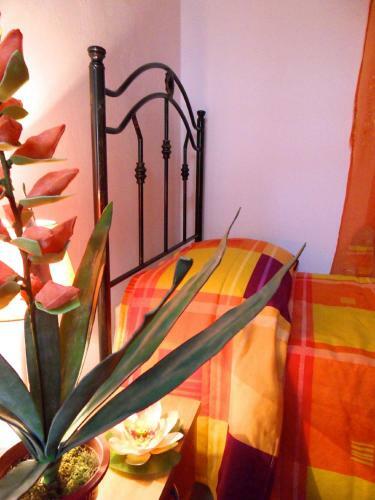Arancio Tourist Apartments