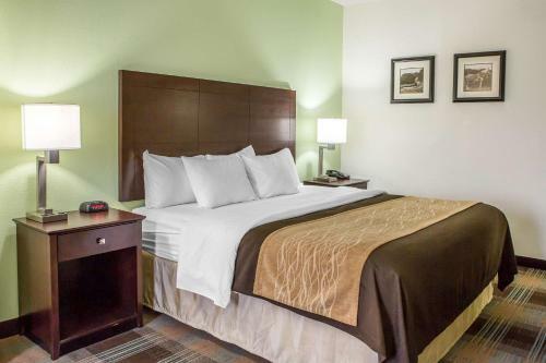 Hotel Comfort Inn Nicholasville