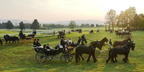 Bed & Breakfast Foresteria Dei Piaceri Campestri