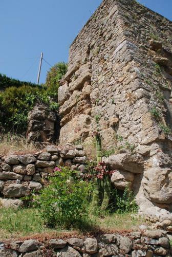 Agroturismo Il Portone Apartments