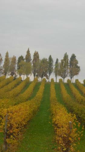 Bed & Breakfast La Casa Del Giardiniere