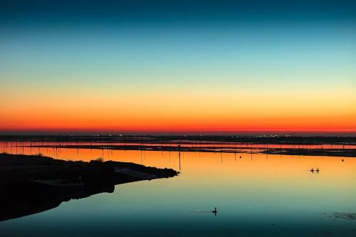 Apartment Rosolina Mare, Veneto 9