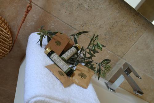 Hotel La Villa Glanum
