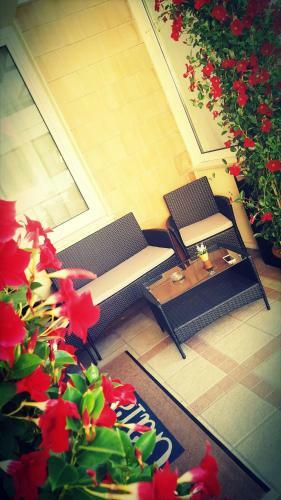 Hotel Gala