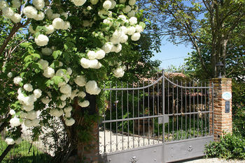 Bed & Breakfast Agriturismo Il Gioco Dell'oca