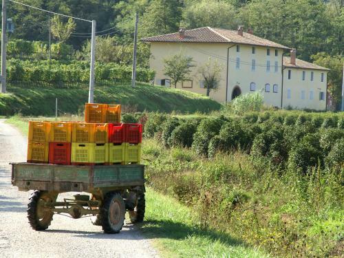 Apartamento Locazione Turistica Crepuscolo