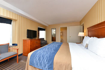 Hotel Comfort Inn Alexandria