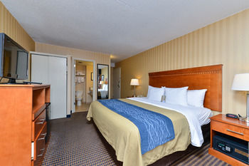 Hotel Comfort Inn Alexandria