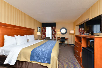 Hotel Comfort Inn Alexandria