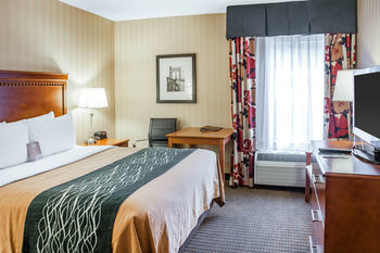 Hotel Comfort Inn Alexandria