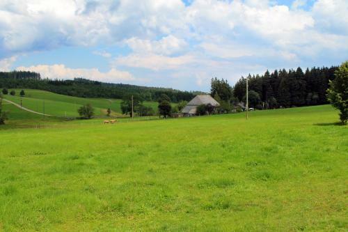 Apartamento Ferienwohnung Schwarzwaldhof