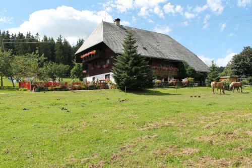 Apartamento Ferienwohnung Schwarzwaldhof