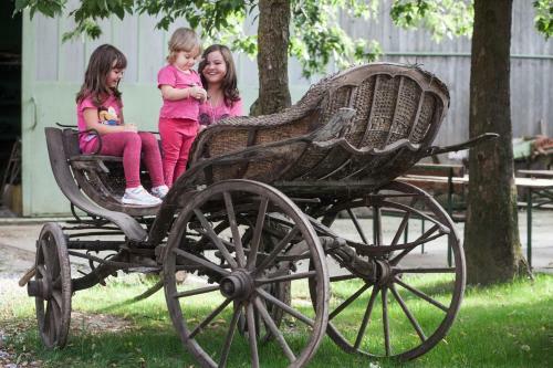 Agroturismo Dai Minisins