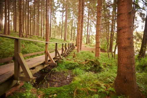 Naturkost-hotel Harz