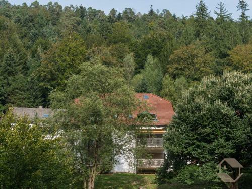 Apartamento Ferienwohnung Sonnenschein