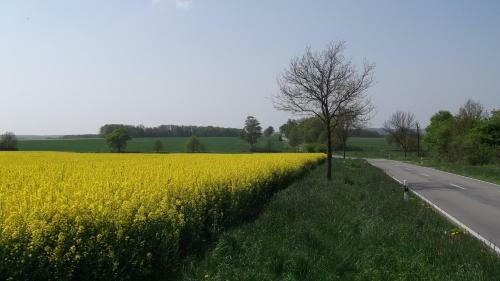 Nigel Restaurant & Hotel Im Wendland