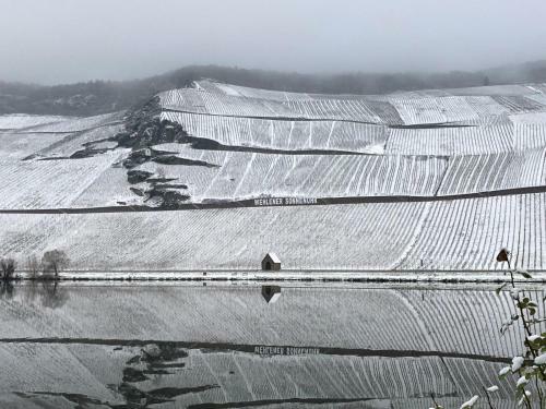 Apartamento Ferienwohnungen Und G�stezimmer Peter Busch