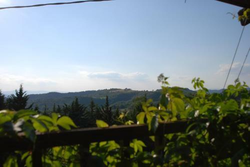 Agroturismo Il Tamantino