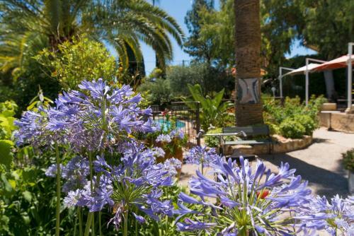 Hotel H�tel De Charme Villa Roseraie