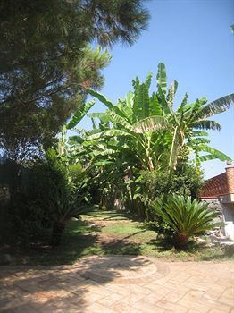 Hotel Villa Delle Palme