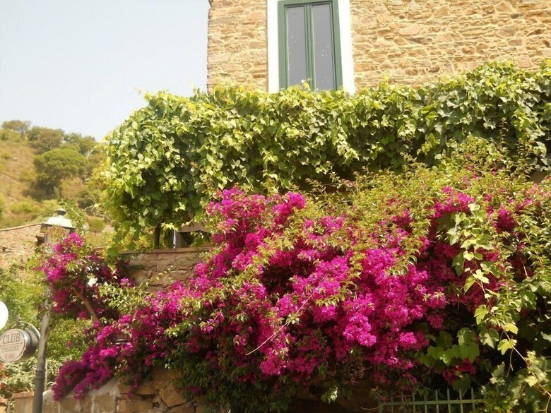 Hostal Palazzo Della Cortiglia