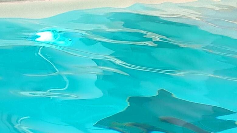 Hotel Terme Belvedere