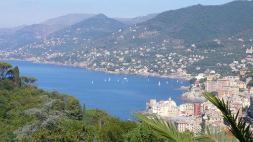 Bed & Breakfast Villa Rosmarino