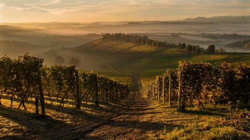 Agroturismo La Locanda Del Nocciolo