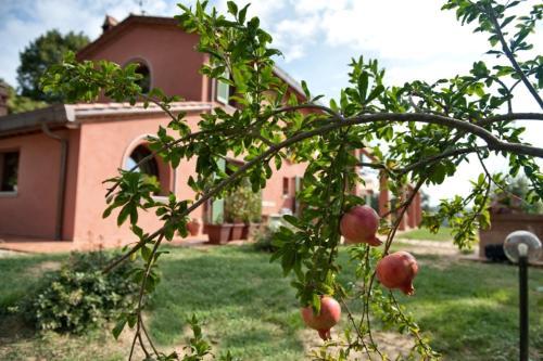 Agroturismo Podere Chiaromonte