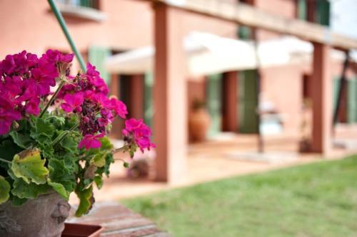 Agroturismo Podere Chiaromonte
