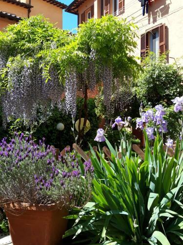 Bed & Breakfast Al Giardino Di Alice