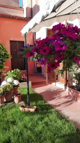 Bed & Breakfast Al Giardino Di Alice