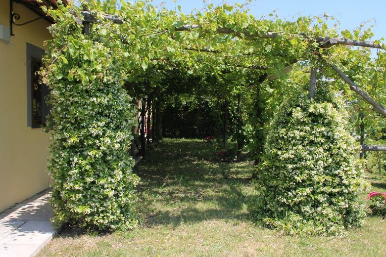 Agroturismo Agriturismo Piccolo Paradiso