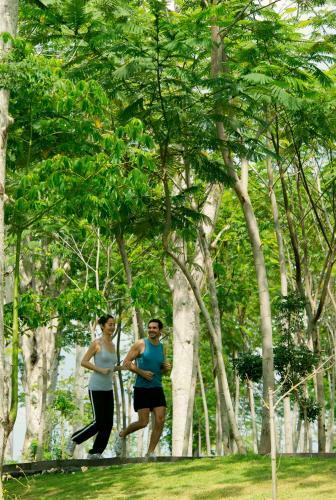 Hotel Rimba Jimbaran Bali By Ayana