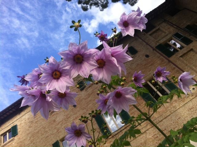 Bed & Breakfast Borgo Storico Seghetti Panichi