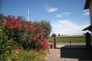 Bed & Breakfast La Cascina Di Alice