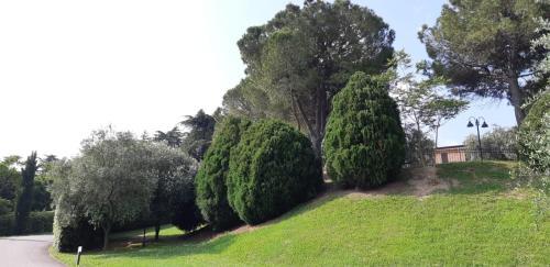 Hotel Villa Del Poeta