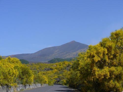 Hotel Il Vigneto - Bed & Breakfast