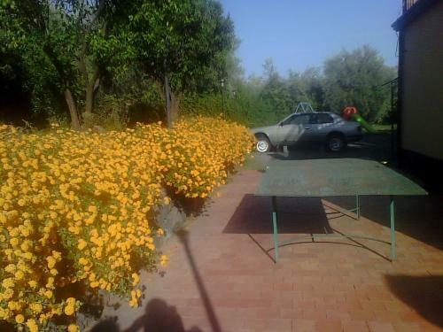 Bed & Breakfast Agriturismo Biologico Dell' Etna