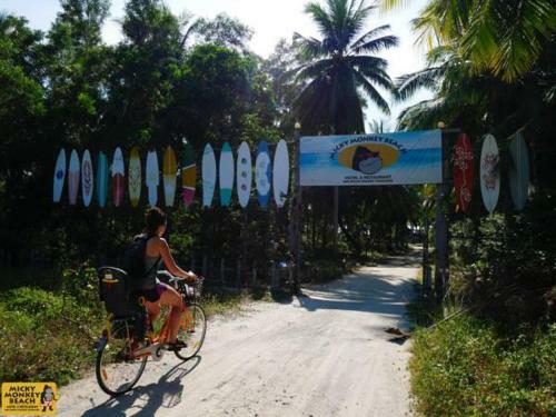 Micky Monkey Beach Hotel