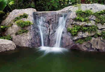 Hotel Renaissance Phuket Resort & Spa