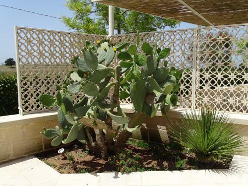 Hotel Masseria Bandino