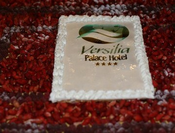 Versilia Palace Hotel