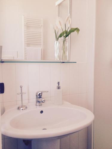 Hotel Sibilla Albunea