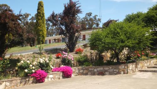 Agroturismo Clare Valley Motel