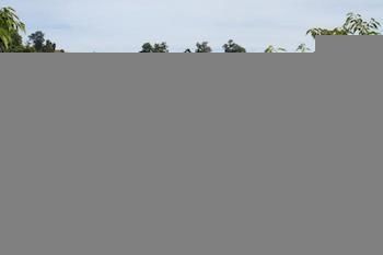 Waitomo Top 10 Holiday Park