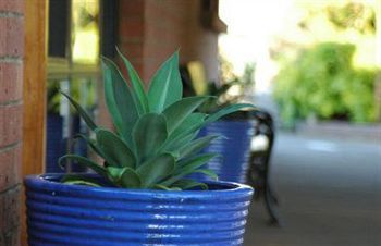 Aparthotel Mclaren Vale Motel & Apartments