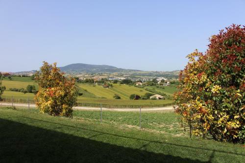 Bed & Breakfast Villa Belvedere Degli Ulivi